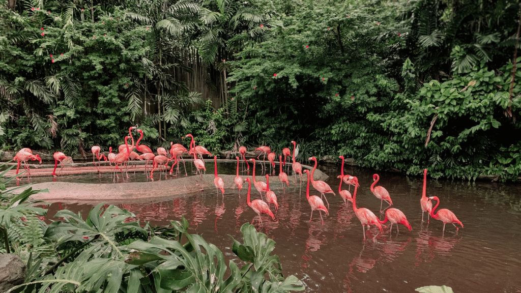 Weekend Getaways Near NeoTowns and Greater Noida